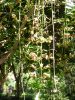 009_San Anton Gardens.jpg